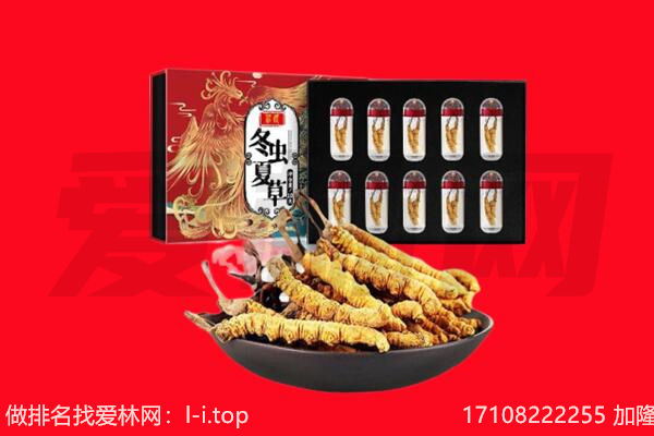 绵阳回收虫草.jpg